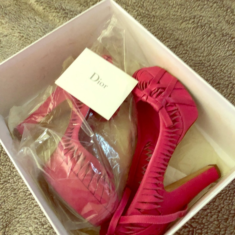 Stiletto Dior sexy and stylish